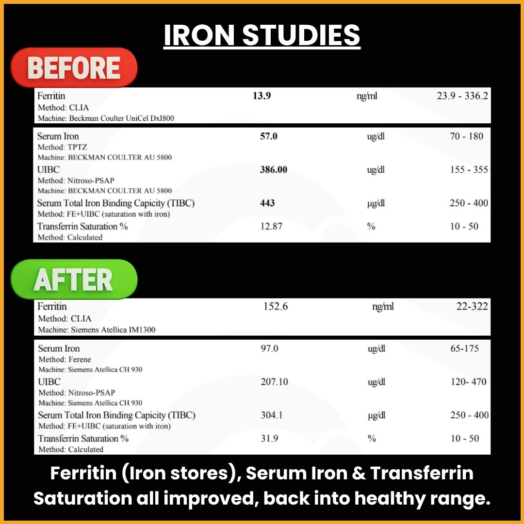 Iron Studies Transformation